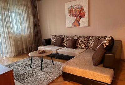 Inchiriez apartament 2 camere Paraului view superb - 9