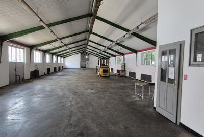 Hala productie /depozitare+ birouri -580 mp - 9