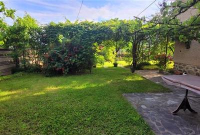 Casa individuala garaj pivnita curte superba Talmaciu - 3