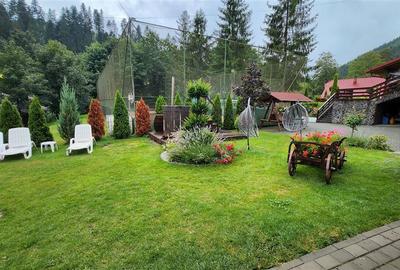 Penisune in Bucovina! Sucevita! De Vanzare! 0727817187 - 2