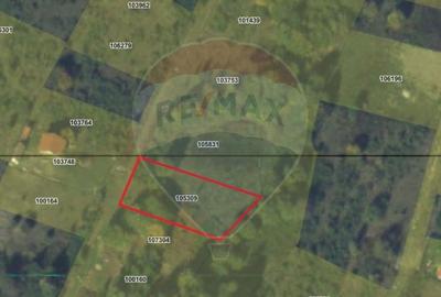 Teren 1,200mp Dragus - 4