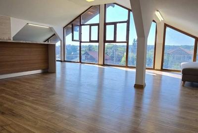 Casă cu 6 camere în Snagov