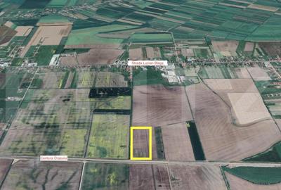Teren Construcții intravilan de 52670 mp, în Lucian Blaga