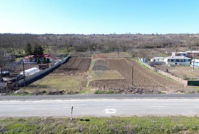 Teren Construcții intravilan de 5313 mp, în Odaia Manolache