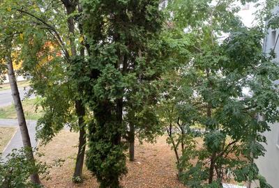 APARTAMENT RENOVAT DE VÂNZARE – ZONA ȘTRAND, STR. VRANCEI - 20