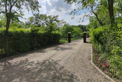 Loturi constructie intre 80-95 Euro/mp - Afumati, Strada Padurii - 11
