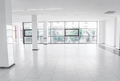 Delfinariu - bd. Mamaia, spatiu comercial , 325 mp. - 19