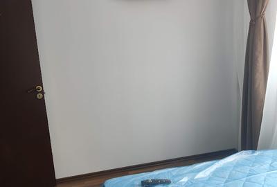 Giurgiului, Piata Progresul, 2 camere mobilate si utilate - 8