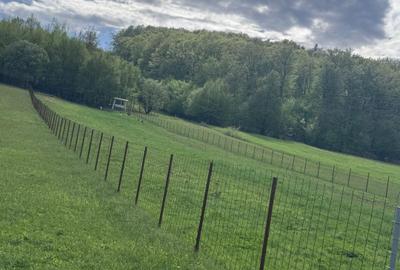 Teren Construcții intravilan de 2500 mp, în Marginea