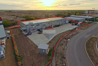 Hală în parc industrial Borș 1, teren 2.903 mp, de vânzare - 30