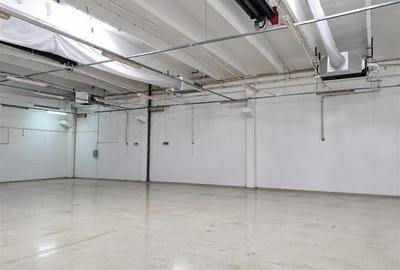 Spatiu FRiG Central cu IsU&Parking - 3