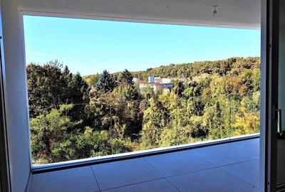 Iancu Nicolae-British School duplex  - 3 dormitoare - 22