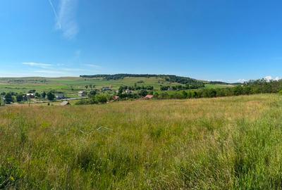 Teren intravilan 3.834 mp Babutiu | Panorama superba mai putin de 20 km de Cluj - 2