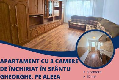 Apartament cu 3 camere de închiriat în Sfântu Gheorghe, pe Aleea Hărniciei! - 1