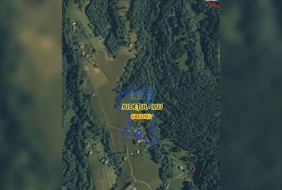 Teren cu potențial turistic, cadru natural rar, 20.000 mp  Sacuieu - 2