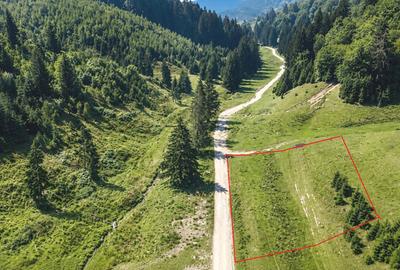Oportunitate Investiție–Teren Intravilan 2.763 mp, Poiana Brașov Str. Stânii - 2