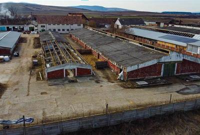 Ansamblu agrozootehnic cu renume,dotat +valoare exceptionala+potential versatil, - 50