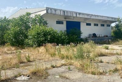 Spațiu industrial, 302 mp în Sânnicolau Mic