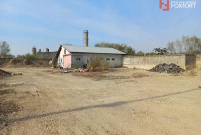 Hala industriala + Teren 7.742 mp | zona Buziasului | 1.200 mp constructii | - 10