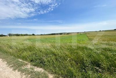 Teren Construcții intravilan de 8000 mp, în Nord