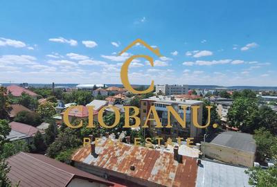 Apartament 2 camere de închiriat Ultracentral, Lângă Gradina Botanica - 12