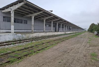 Hala depozitare 6641 mp si cladire birouri - Dornesti, Suceava - 2