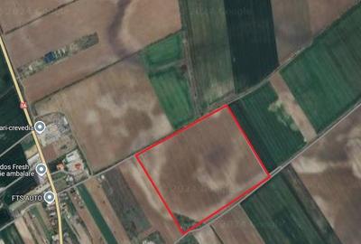 Teren agricol extravilan de 951480 mp, în Crevedia