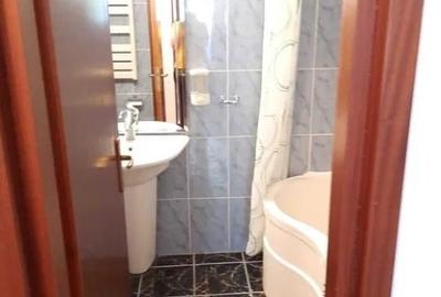 Apartament 2 camere Parc Tineretului-Timpuri Noi - 6