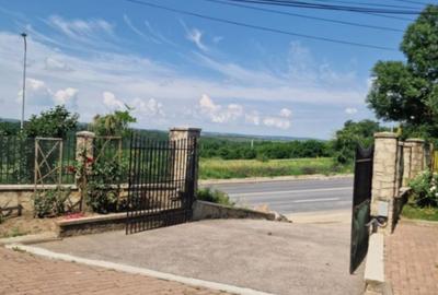 Casă P+2 Lebăda la strada principală - 9