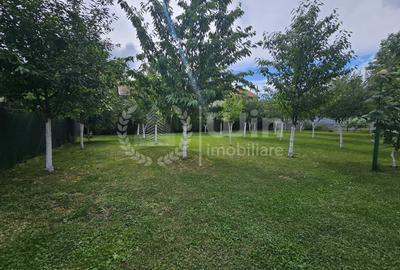 Casă individuală cu 3 camere în Căpușu Mic