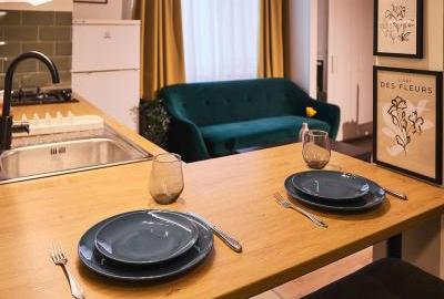 Garsoniera Pet friendly Gara de Nord Prima inchiriere - 6