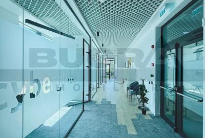 Spatiu de birou premium 335 mp - zona Brancusi - 10