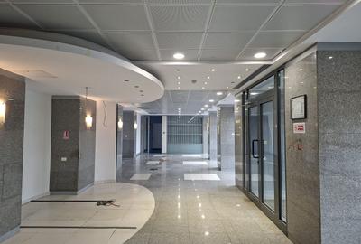 Spațiu 320 mp | Vitrină 25 m | Spital Grozovici - 10