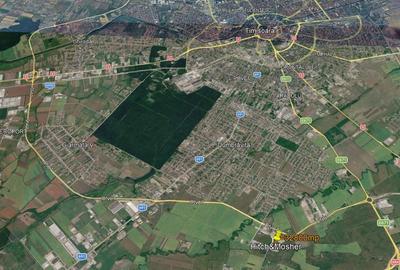 Teren intravilan 32.800 mp Dumbrăvița-Covaci | hale / investiție - 2