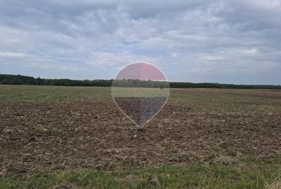 Investitie vanzare teren intravilan 26.666mp la DN3| Vizavi de Makita| - 4