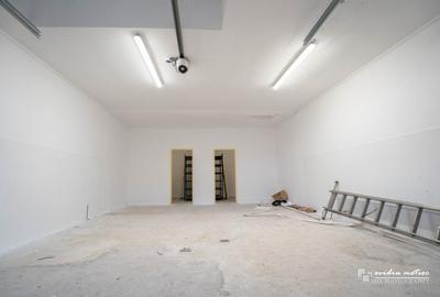 Modul hala 65 mp, zona Calea Baciului - 5