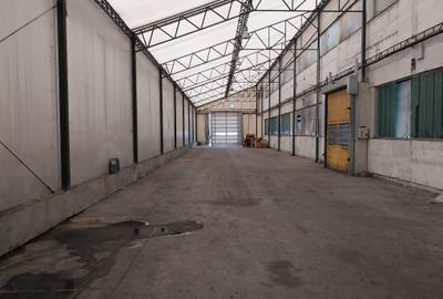 Hala de închiriat, 2300 mp, Depozitelor, Pitesti, cu pod rulant de 8 t - 9