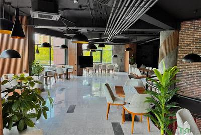 Restaurant + Terasa de inchiriat Sector 3 / Bucuresti - 10