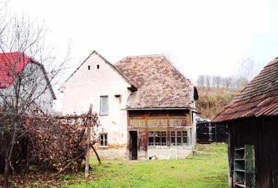 Casă cu demisol și parter, teren 395 mp, Sat Bradu – Avrig - 5