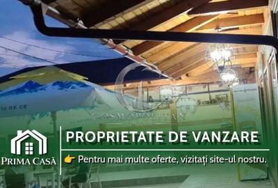 Spațiu comercial, de 300 mp, în Vernești