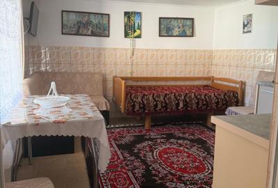 OCAZIE ! DE VANZARE casa (renovata) HORLESTI ( Voinesti ) - 7