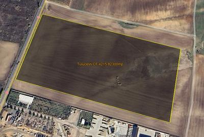 TEREN 82300 MP ÎN ESTUL ROMÂNIEI - 13