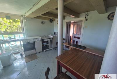 Vanzare casa in Almasu Mare - 4