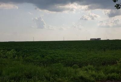 DN4-Bucuresti -Popesti Leordeni ,teren 80.000 mp, intravilan - 8