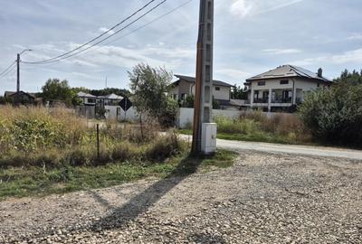 Teren intravilan 700 mp la Asfalt aproape de Centrul orasului Magurele - 13