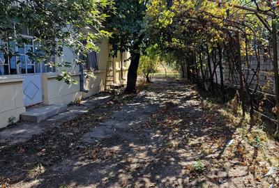 Afumati Casa 4 camere parter la sosea teren 800 mp ideal afacere - 5
