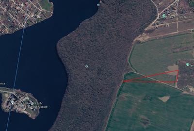 Teren agricol intravilan de 24000 mp, în Cernica