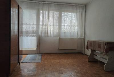 Apartament cu 2 camere decomandat în Giurgiului