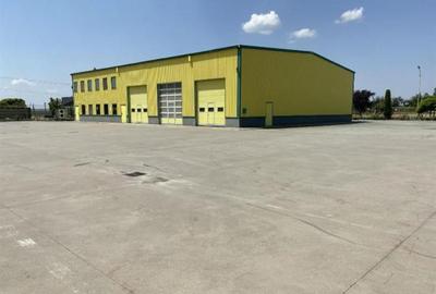 Pecica, 12000 mp platforma, inchiriere lunga durata, - 14