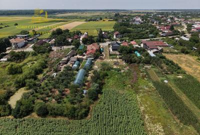 Teren 2.700 mp Ciocănești - Urziceanca | La asfalt - 10